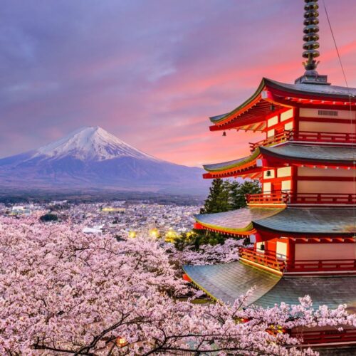 6-Day Japan Tour: Tradition & Modernity