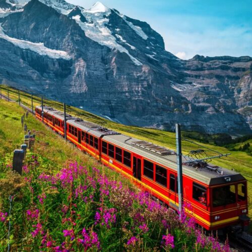 Private Tours Tailored Just for You
