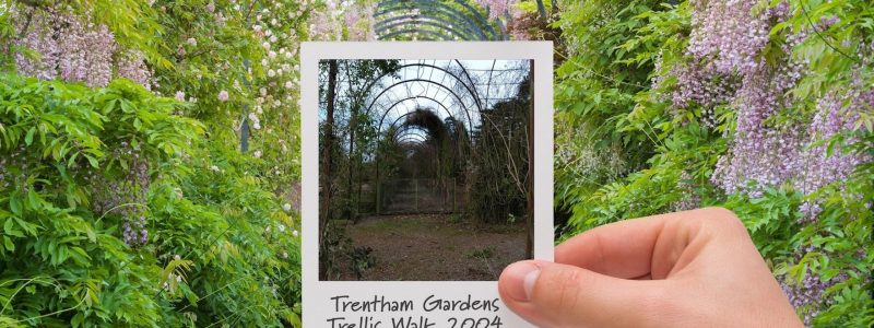 Trentham-Gardens-12