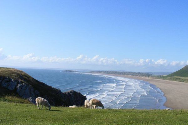 wales-gower-3