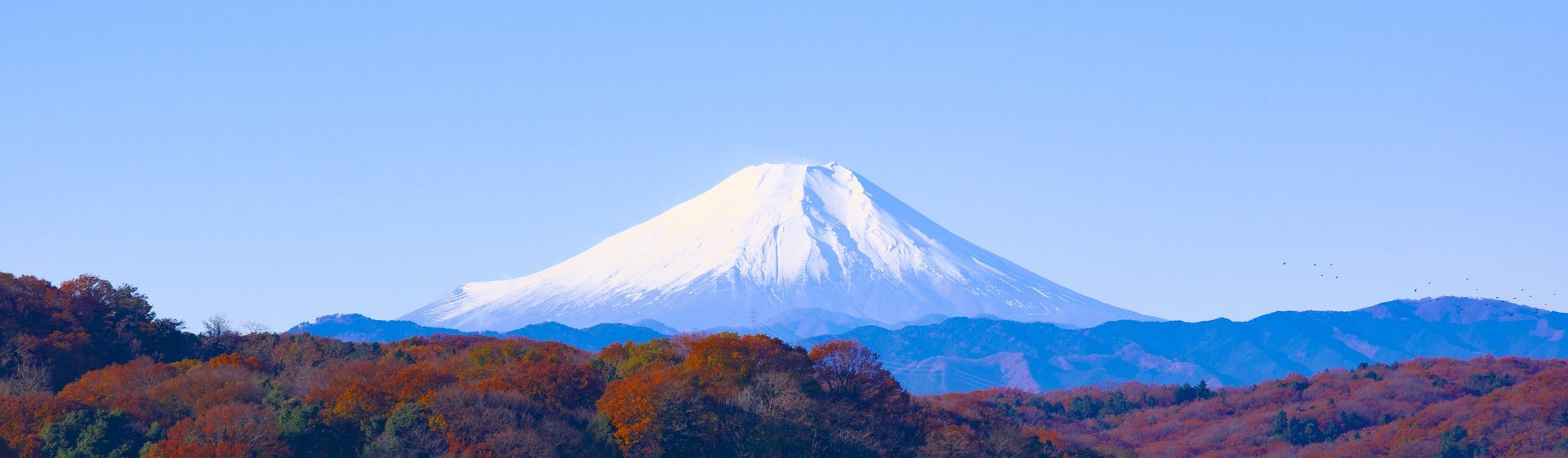 fuji-mountain-1